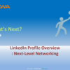 LinkedIn Profile Overview (LPO): Next-Level Networking-Beta test
